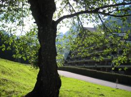 Heerlijke wandel of ski vakantie in Torgon Portes du Soleil，位于Torgon的酒店