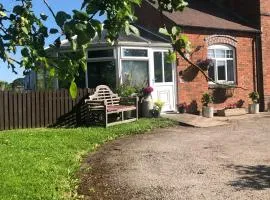 Nanny Goat Rest At Ashlands Farm