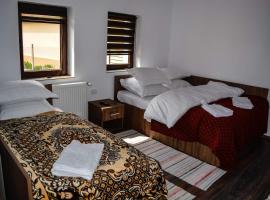 Bustea 2，位于Hărţăgani的酒店