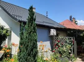 Lenart House 1