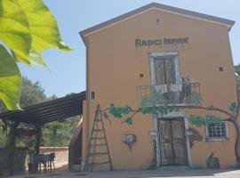 Agriturismo Radici irpine，位于Rocca San Felice的酒店