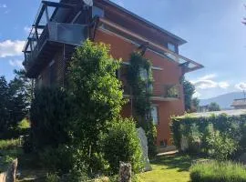 MILLIEs hosting - Familienurlaub mit Hund in Kärnten