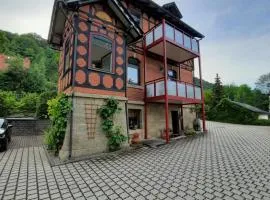 Ferienwohnung Villa Frosch