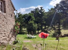 Magnifique Moulin au bord d'une riviere, calme absolu, piano，位于Doyet的酒店