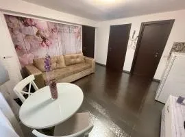 Apartament Mihaela