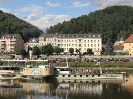 Elbhotel Bad Schandau，位于巴特尚道的酒店