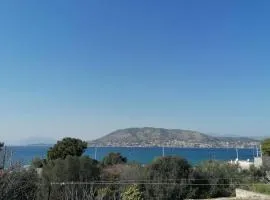 Welcome in Salamina