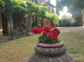 Borgo Villa a Tolli