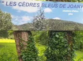 Cèdres Bleus de Joany chez Nathalie