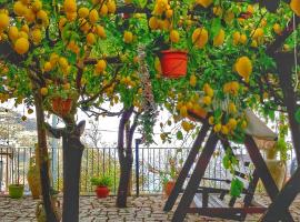 Il Limoneto di Lulù, holidays among the lemon trees，位于米诺利的酒店