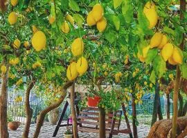 Il Limoneto degli Angeli