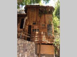 La Casa entre los Árboles en el Valle de Elqui Montegrande，位于派瓦诺的酒店