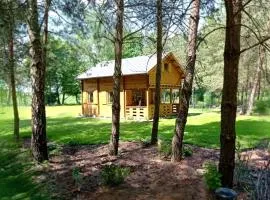 Domek z Sauną pod Sosnami z posesją na wyłączność Mazury