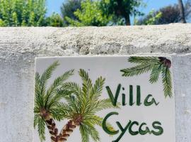 Villa Cycas，位于伊斯基亚的无障碍酒店