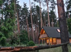 Pod Czarnym Dzięciołem - dom z widokiem i prywatną balią，位于Mazówki的酒店