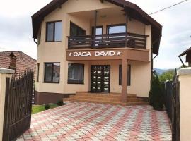 Casa David Comarnic，位于科马尔尼克的酒店