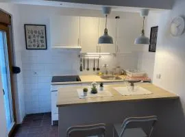 Sokobanja Apartman Aleksa
