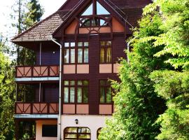 Ezüstfenyő Hotel，位于泰尔基巴尼奥的酒店