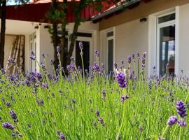 Dióliget，位于Óhid的酒店