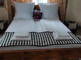 La Lenuța În Susani，位于Breb的酒店