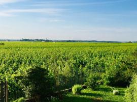 Appartement avec vue sur les vignes à Gevrey，位于热夫雷尚贝尔坦的酒店