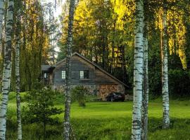 The Lake House "Ausatas"，位于Dobele的度假短租房