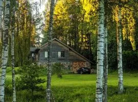 The Lake House "Ausatas"
