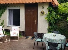 SOWA nad jeziorem Wojnówko gm Murowana Goślina