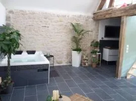 Maison privative, cocooning, zen , avec jacuzzi