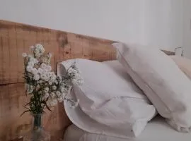 Casa Cucun