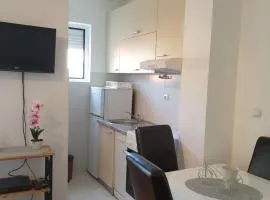 Izdajem studio - apartman