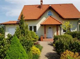 Dom Wakacyjny Z Widokiem Na Jezioro w Borzechowie