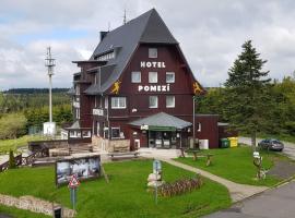 Hotel a restaurace Pomezí，位于Cínovec的酒店