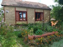 Ruralna kuća za odmor Pozojova hiža - Rural Holiday House，位于Lopatinec的低价酒店