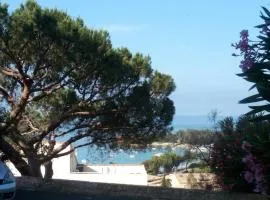 AJACCIO VUE MER ET MONTAGNES JACUZZI 300M PLAGEs