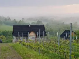 Utopia Dom przy winnicy