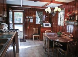 Cabin #4 - Loon's Landing cabin，位于Carp Lake的酒店