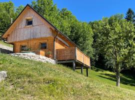 Miha`s cottage，位于博希尼的酒店