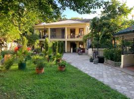 Nargiz's Guest House，位于巴统的酒店