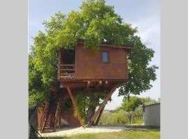 Casa sull'Albero Treehouse Costa dei Trabocchi