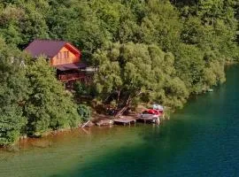 Forest Dream Lake House