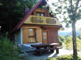 Holiday home in Golik/Gorski Kotar 14249，位于Zagolik的度假屋