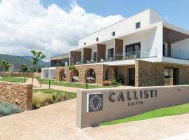 Callisti Suites，位于萨尔蒂的酒店