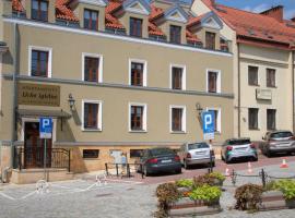 Apartamenty Ucho Igielne，位于桑多梅日的酒店