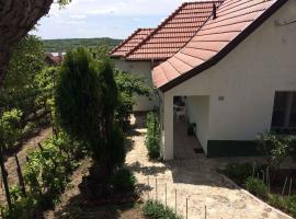 Holiday home in Tihany/Balaton 20236，位于蒂豪尼的酒店