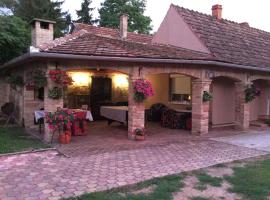 Holiday home Balatonbereny 9，位于鲍洛通拜雷尼的酒店