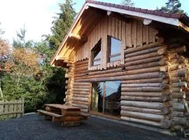 Chalet Authentique en Forêt, 6 Pers, Proche Gérardmer, Sentiers & Stations de Ski - FR-1-589-378