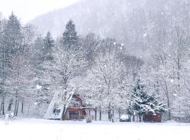 Zen House，位于Brod na Kupi的乡村别墅