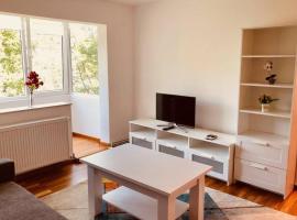 Joy City Stay Iasi 15，位于蒂米什瓦拉的酒店