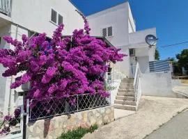 Maslenica-Bougainvillea